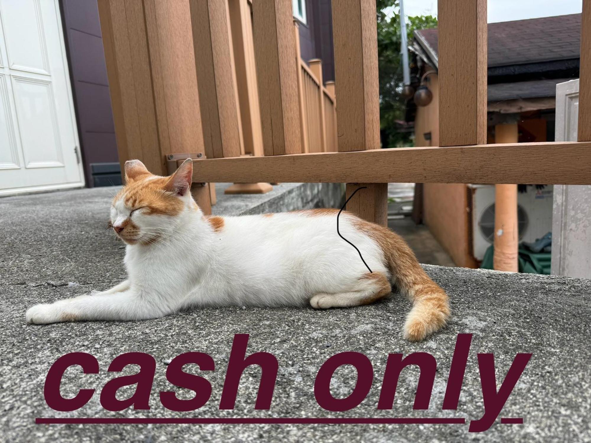 貓居 Ocean House Apartment Dahan Exterior photo